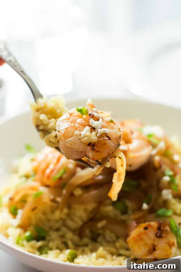 Flavorful Shrimp and Balsamic Onion Rice Up Close Close-up of Rice with Balsamic Onions and Shrimp on a fork