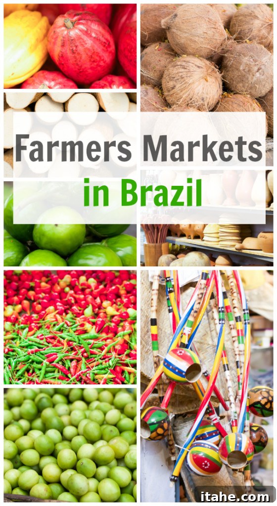Brazilian Feiras: A Taste of Local Life 2 A colorful photo collage showcasing the vibrancy of Farmer's Markets In Brazil, featuring fresh produce and lively market scenes.