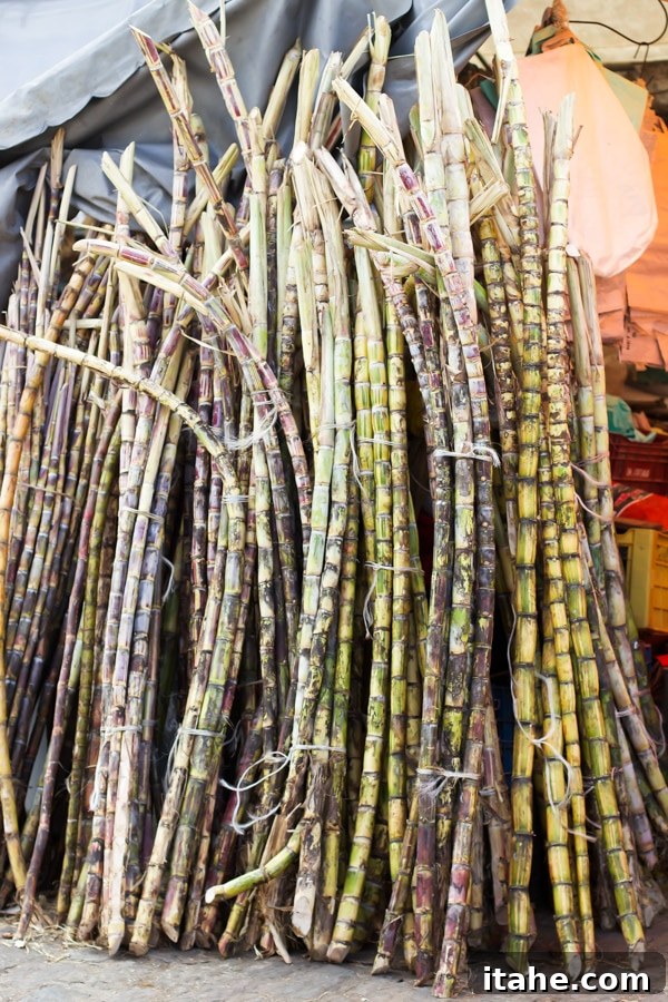 Brazilian Feiras: A Taste of Local Life 12 Tall, fresh bundles of sugarcane neatly arranged in a market stall, ready for purchase in Brazil.