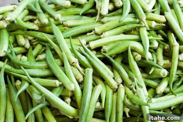 Brazilian Feiras: A Taste of Local Life 6 A vibrant close-up image of a large, fresh pile of bright green okra (quiabo) at a bustling farmers' market.
