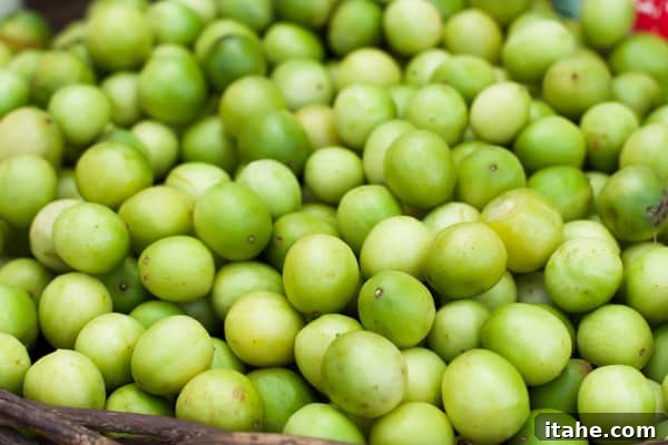 Brazilian Feiras: A Taste of Local Life 8 A basket full of small, round, vibrant green umbu fruits, showcasing their smooth texture and ripeness.