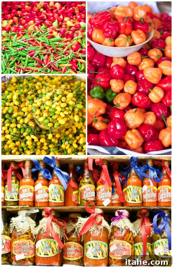 Brazilian Feiras: A Taste of Local Life 9 A vibrant photo collage featuring a diverse assortment of red, orange, yellow, and green hot peppers alongside an array of bottled hot sauces.