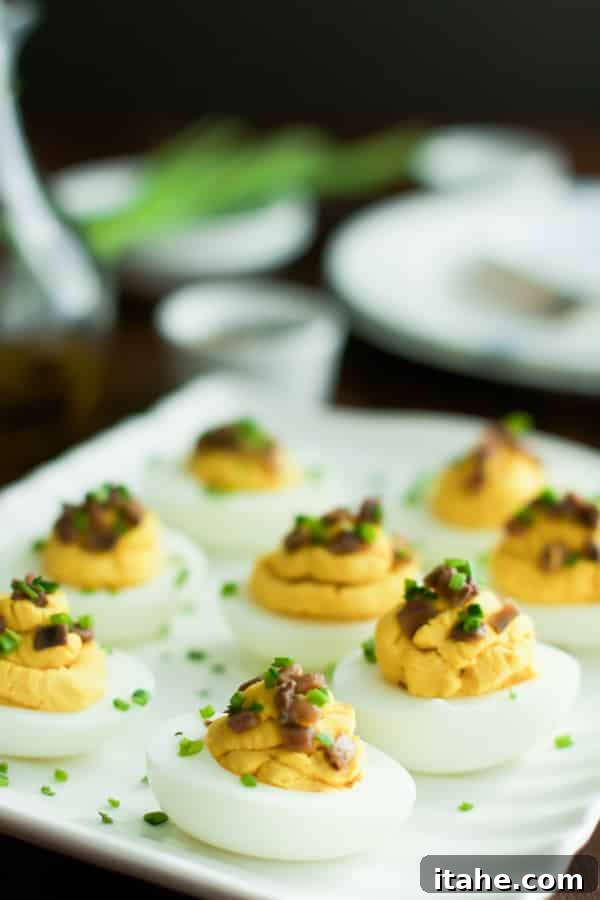 Lentil Deviled Eggs Platter A close-up shot of several Lentil Deviled Eggs on a white serving dish, beautifully piped and garnished.
