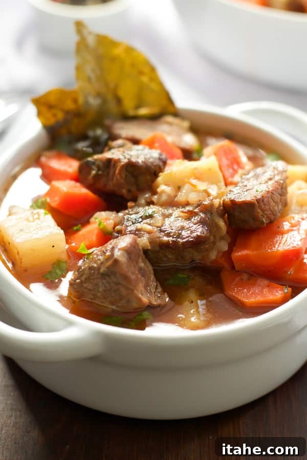 An appetizing close-up of beef and vegetables in a stew, showcasing the tender textures and vibrant colors.
