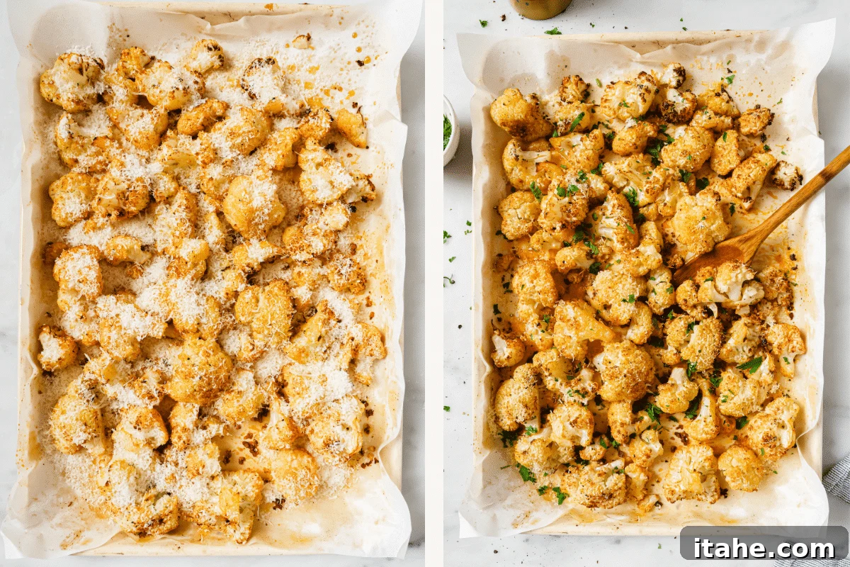 Golden Garlic Parmesan Roasted Cauliflower 6 Left: Parmesan cheese being sprinkled over partially roasted cauliflower florets on a baking sheet. Right: Fully roasted cauliflower with melted Parmesan, golden and crispy, on a baking sheet.