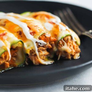 A beautifully plated serving of keto zucchini chicken enchiladas, garnished and ready to enjoy.