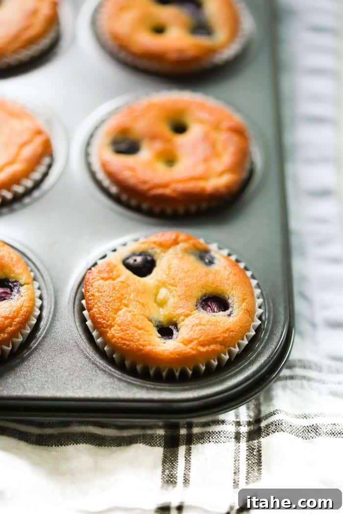 Low-Carb Lemon Blueberry Blender Muffins - Easy, Healthy, Gluten-Free, 136 Calories Close-up of freshly baked Low-Carb Lemon Blueberry Muffins in a muffin pan, showcasing their golden tops and visible blueberries.