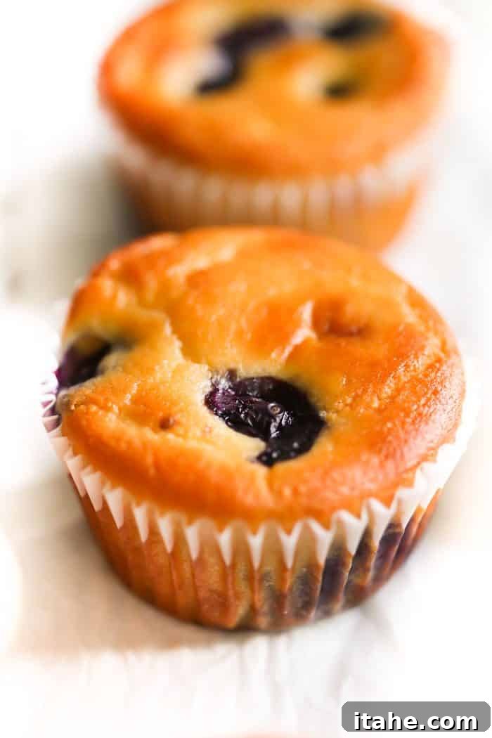 Low-Carb Lemon Blueberry Blender Muffins - Easy, Healthy, Gluten-Free, 136 Calories Another close-up shot of Low-Carb Lemon Blueberry Blender Muffins, showing their fluffy texture and golden-brown tops after baking.