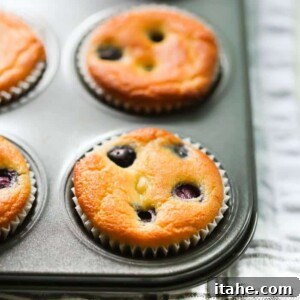 Final plated Low-Carb Lemon Blueberry Muffins, garnished with fresh blueberries and a slice of lemon.