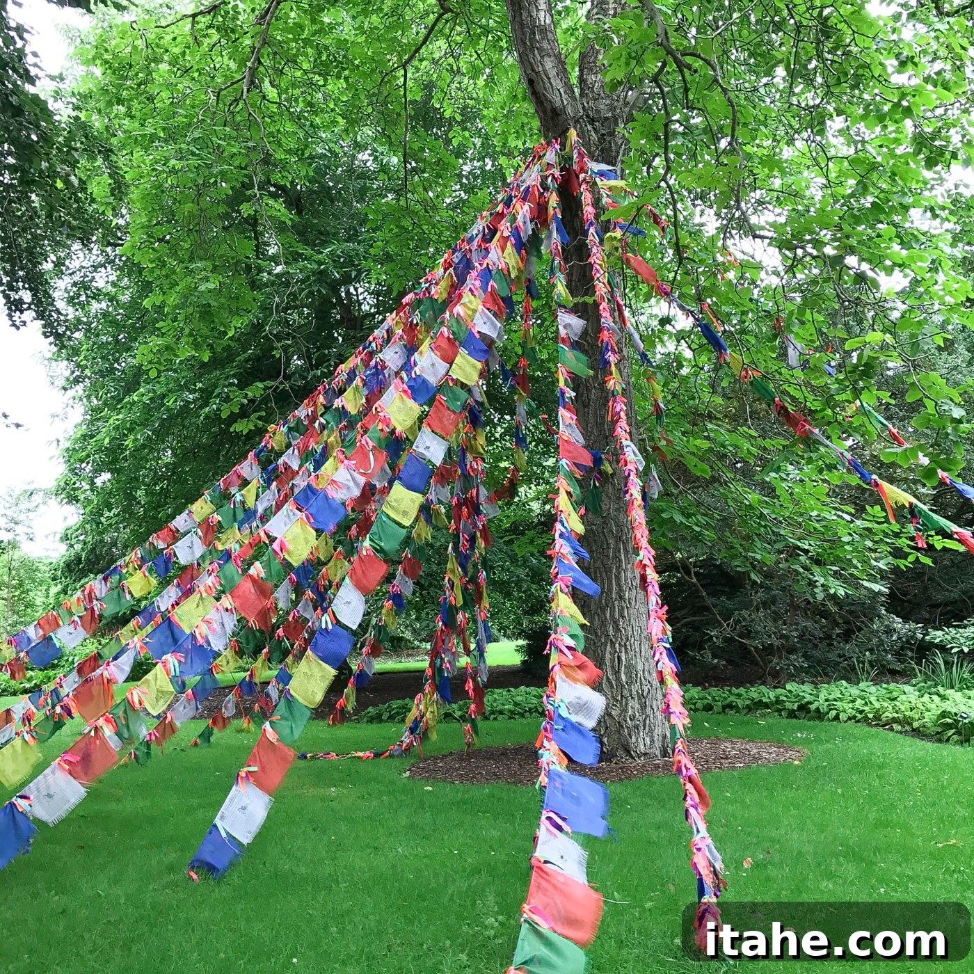 Colorful bunting adorning a tree branch, adding a festive touch to the park