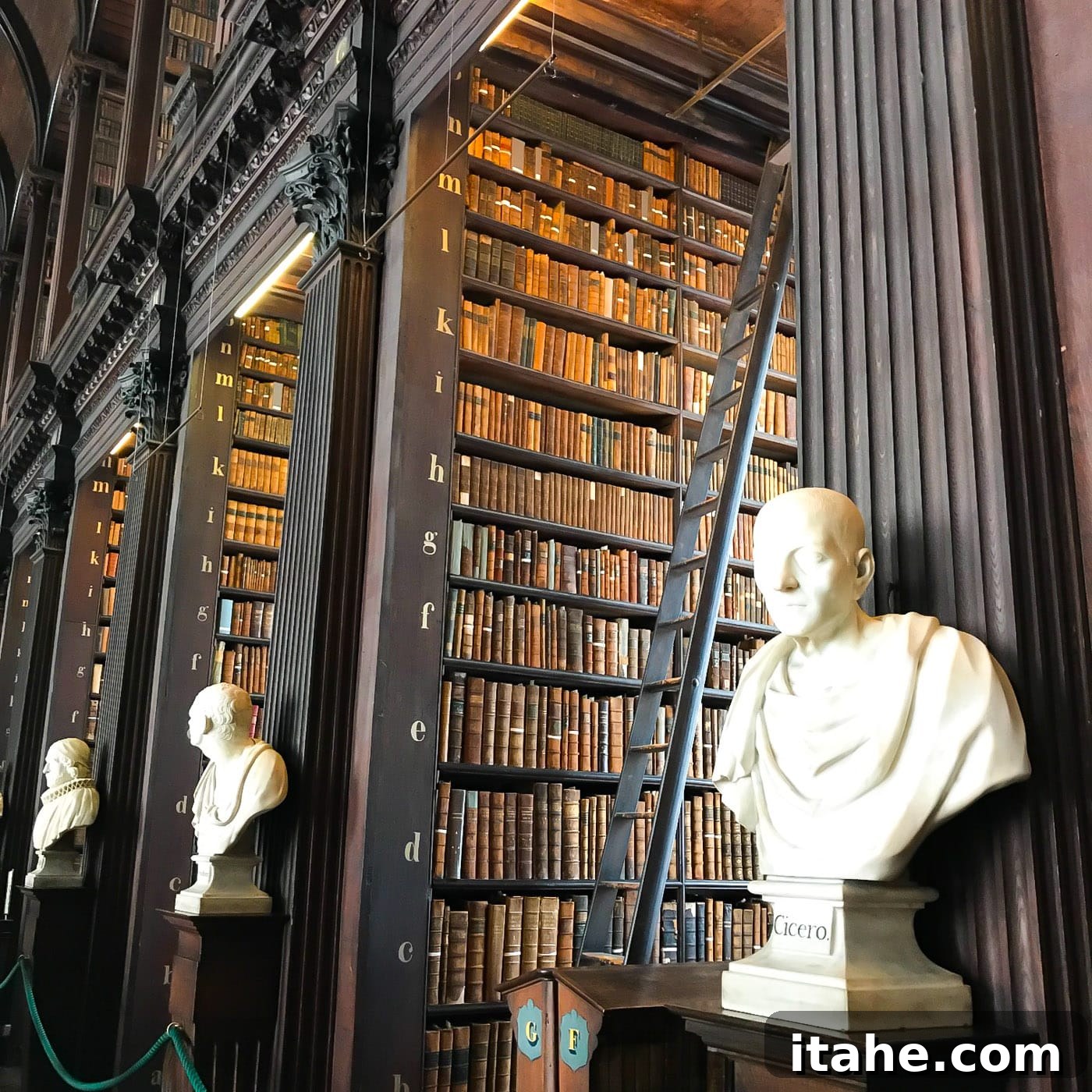 A detailed perspective of the Library of Trinity College Dublin's towering bookshelves