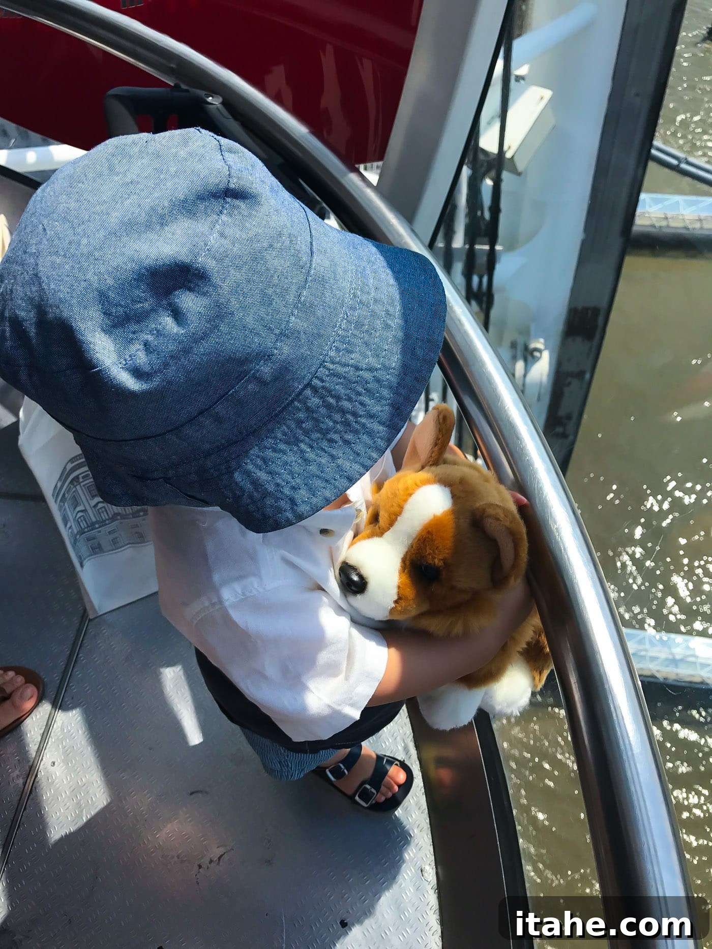 A happy toddler holding a stuffed dog inside a capsule of the London Eye