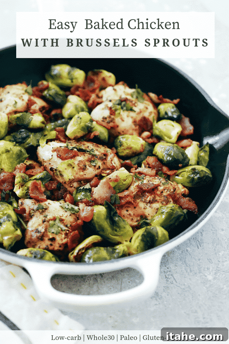 Crispy Chicken and Caramelized Brussels Bake 6 Easy Baked Chicken with Brussels Sprouts with Bacon in a skillet, ready to serve
