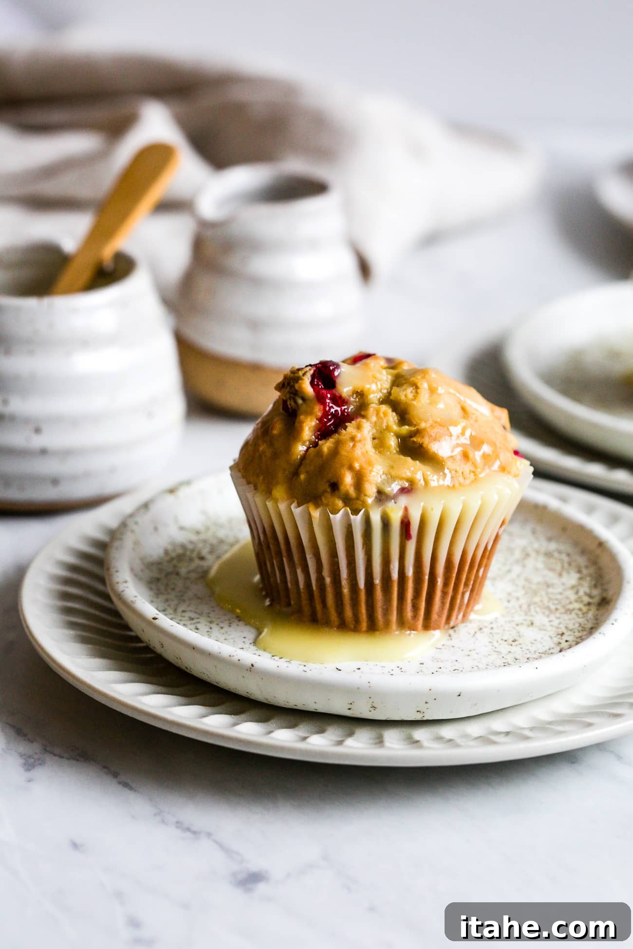 closeup of cranberry muffins in a white small plate