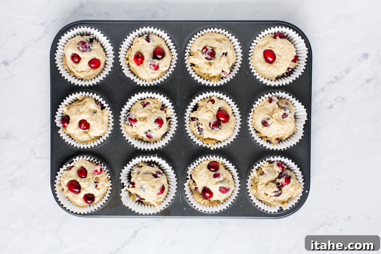 Batter evenly portioned into lined 12-count muffin pan. 