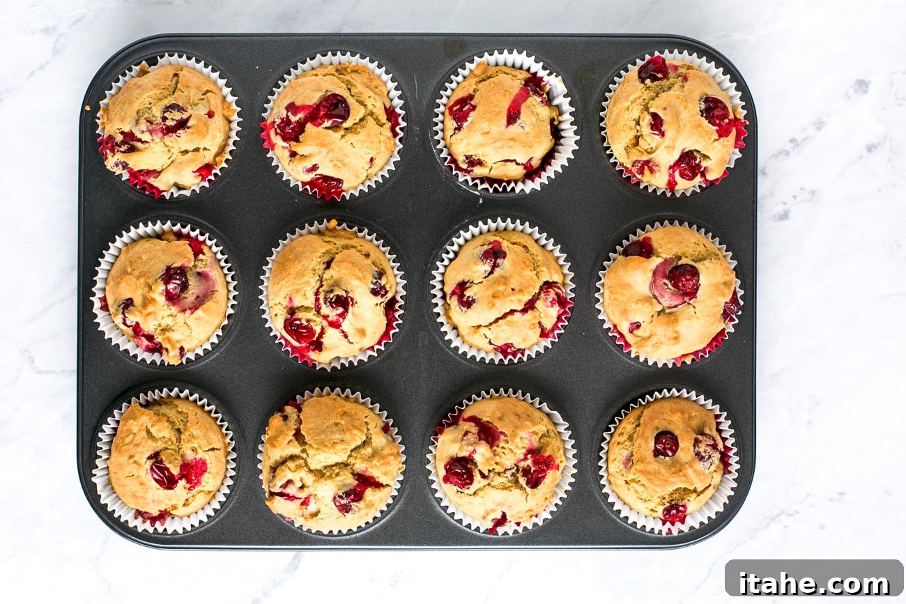 Baked muffins still in pan. 