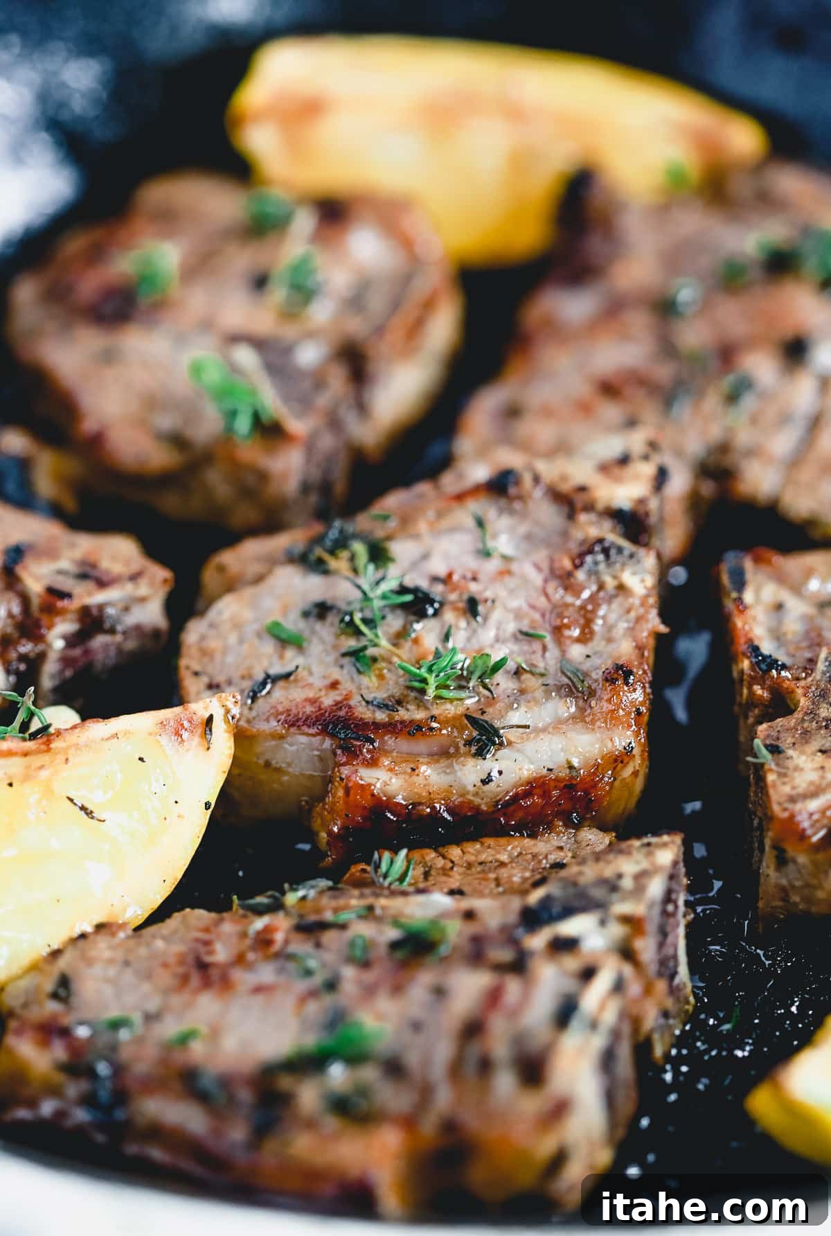 Pan-seared Lemon Thyme Lamb Chops in a cast iron skillet, golden brown and garnished with fresh thyme