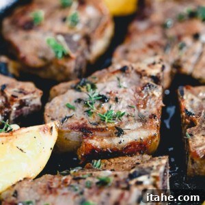 Close up of Lemon Thyme Lamb Chops, beautifully seared