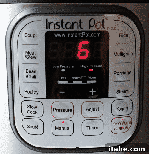 closeup of an instant pot menu