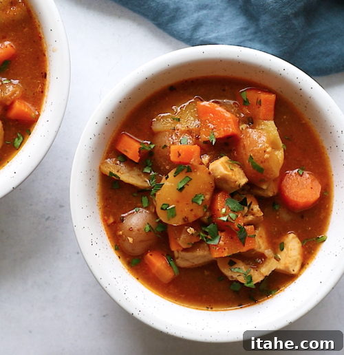 overhead view of instant pot chicken stew