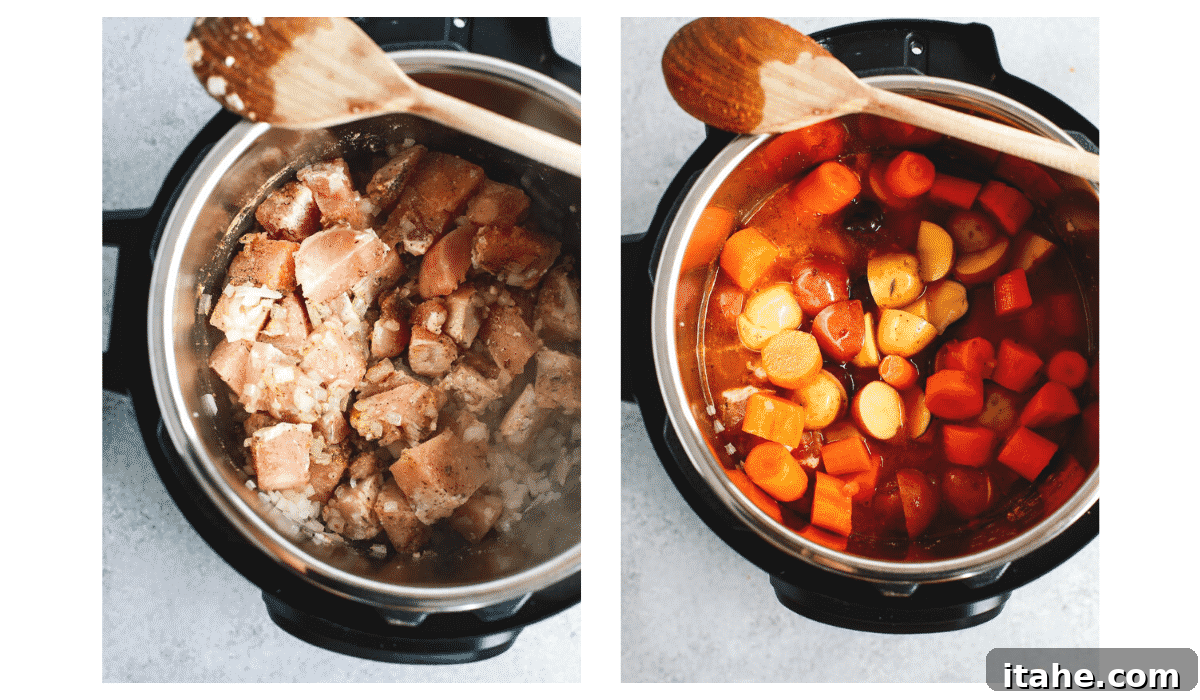 step by step photos show how to make chicken stew in an electric pressure cooker