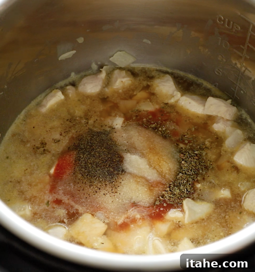 closeup view of a chicken stew inside of an instant pot