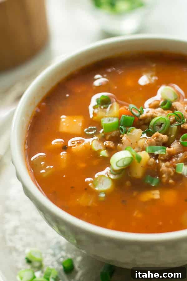 A nourishing bowl of Ground Turkey Soup with Veggie Roots.