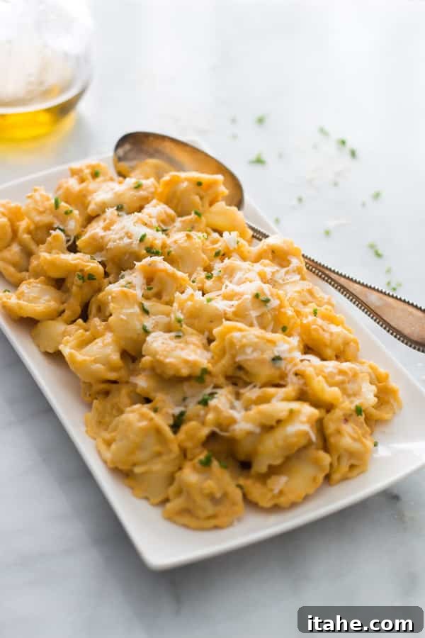 A close-up of a plate of tortellini generously coated in creamy pumpkin sauce, ready to be enjoyed.