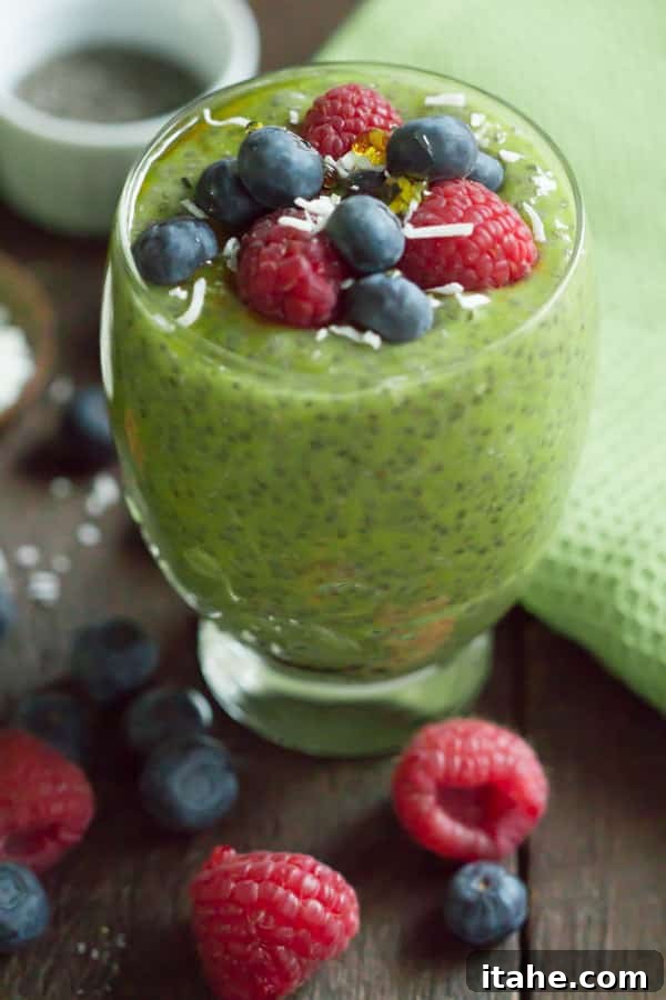 Kiwi Chia Pudding: The perfect wholesome breakfast or afternoon snack. Refreshing Kiwi Chia Pudding for a healthy breakfast or snack, featuring vibrant green kiwi slices and a creamy texture.