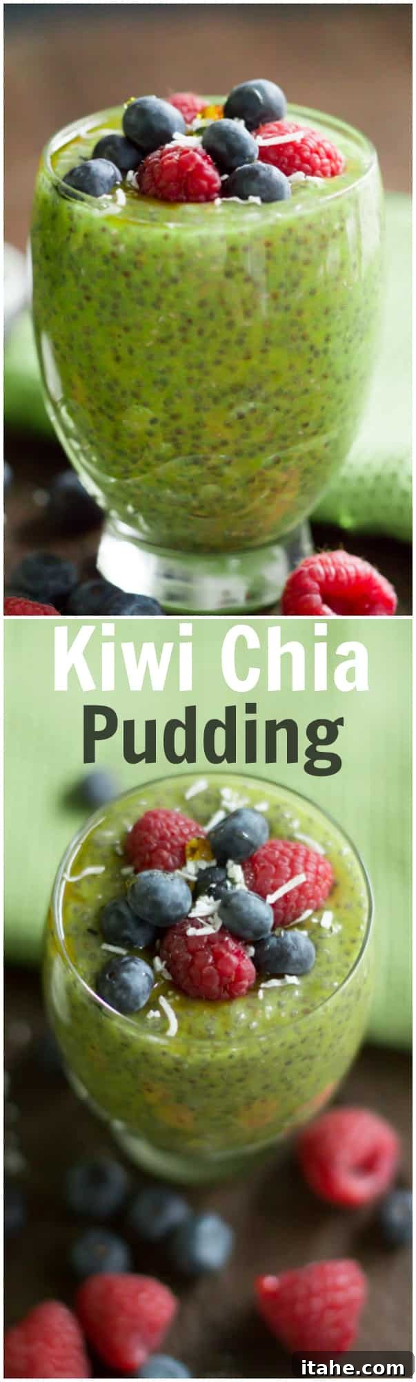 kiwi chia pudding - This Kiwi Chia Pudding is made with coconut milk, kiwi fruit and maple syrup. It is a great option for a healthy breakfast or a snack in the afternoon. kiwi chia pudding - This Kiwi Chia Pudding is made with coconut milk, kiwi fruit and maple syrup. It is a great option for a healthy breakfast or a snack in the afternoon.