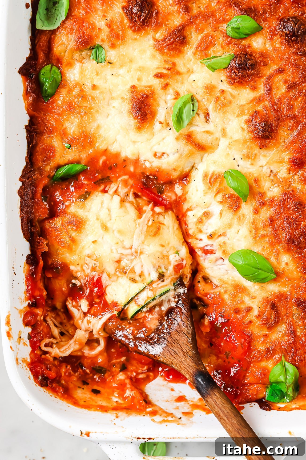 An overhead view of Zucchini Lasagna Rolls in a casserole dish, garnished with fresh basil.