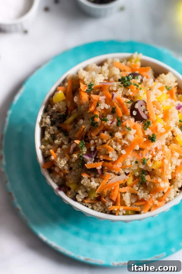 Carrot Quinoa Salad - This quinoa salad is filled with shredded carrots, red onions, bell pepper and olives. It is gluten-free, vegan, healthy and very flavourful too. Carrot Quinoa Salad - This quinoa salad is filled with shredded carrots, red onions, bell pepper and olives. It is gluten-free, vegan, healthy and very flavourful too.