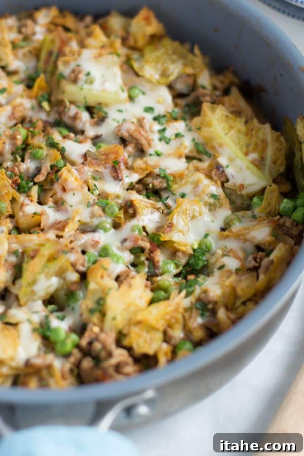 Cooking a Quick & Easy Ground Turkey Cabbage Skillet Ground Turkey Cabbage Skillet ready to be served, a perfect example of quick and easy home cooking.
