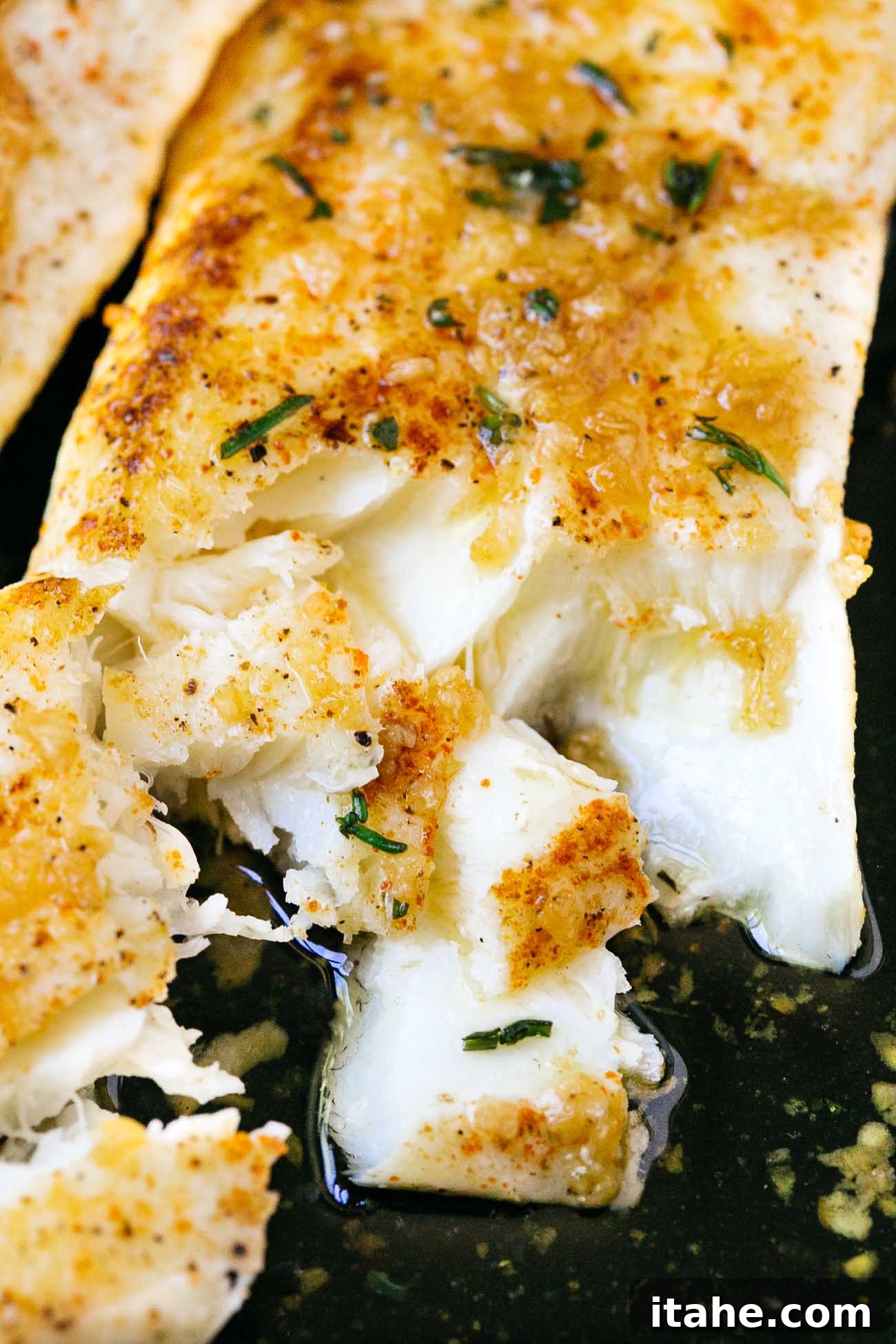 close up of flaky halibut 