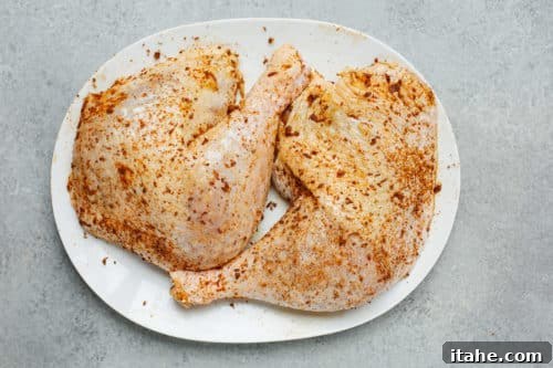 seasoned raw turkey leg on a white plate