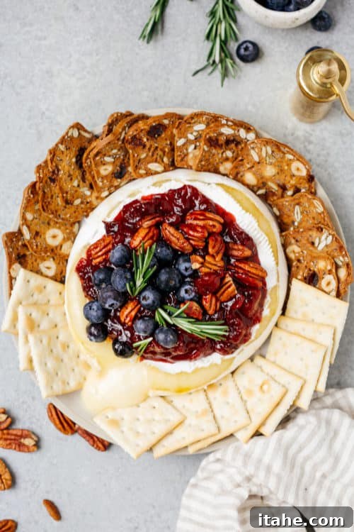 Baked Brie with Cranberry Sauce, garnished and ready to serve with crackers.