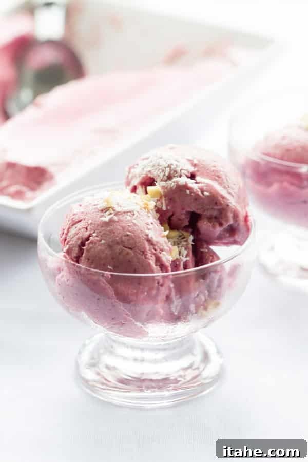Dairy-Free Strawberry Ice Cream Primavera Kitchen Recipe - A healthy and delicious ice cream alternative made with coconut milk and fresh strawberries, free from dairy, refined sugar, and trans fats.