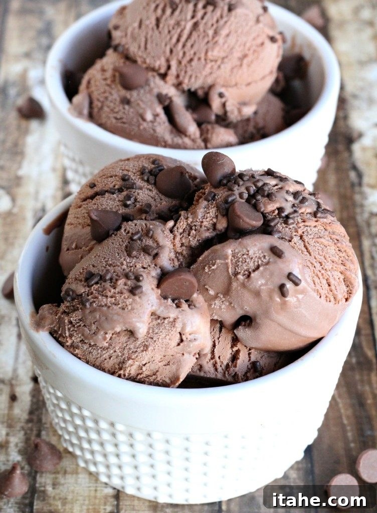 Indulge Wisely: Wholesome Ice Cream Treats 3 Two generous servings of rich chocolate chip dairy-free ice cream in elegant white ice cream bowls, ready to be enjoyed.