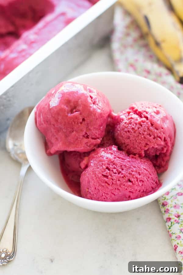 Indulge Wisely: Wholesome Ice Cream Treats 5 Three generous scoops of luscious Healthy Blender Raspberry Ice Cream elegantly arranged in a pristine white bowl, inviting a taste.