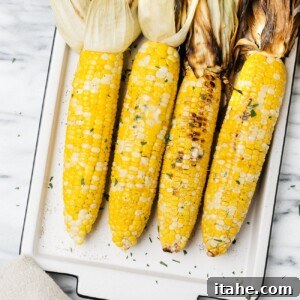 grilled corn on a cob on a white plate