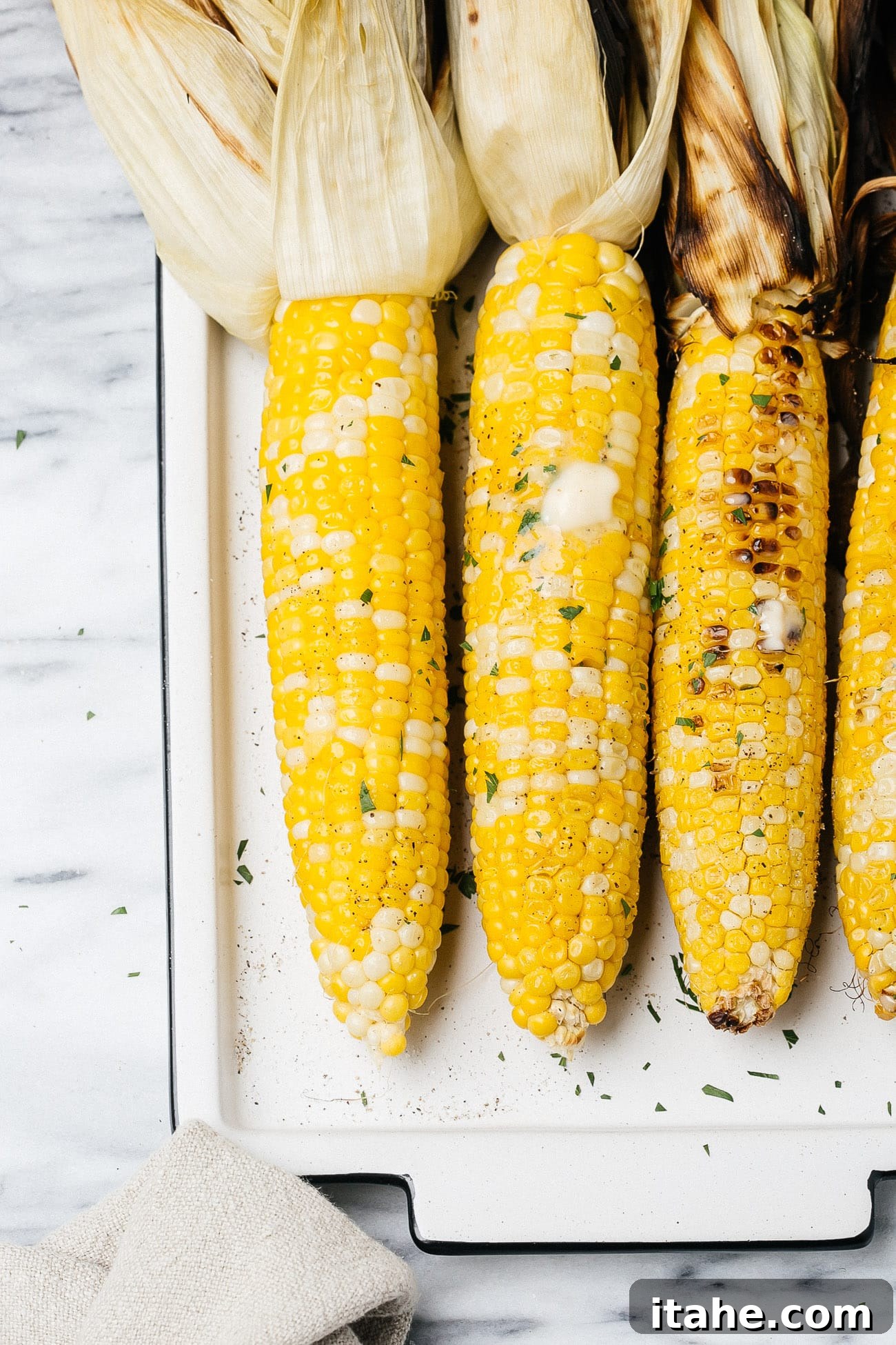 Grilled Corn Duo: From Simple to Sublime 5 grilled corn on a cob on a white plate