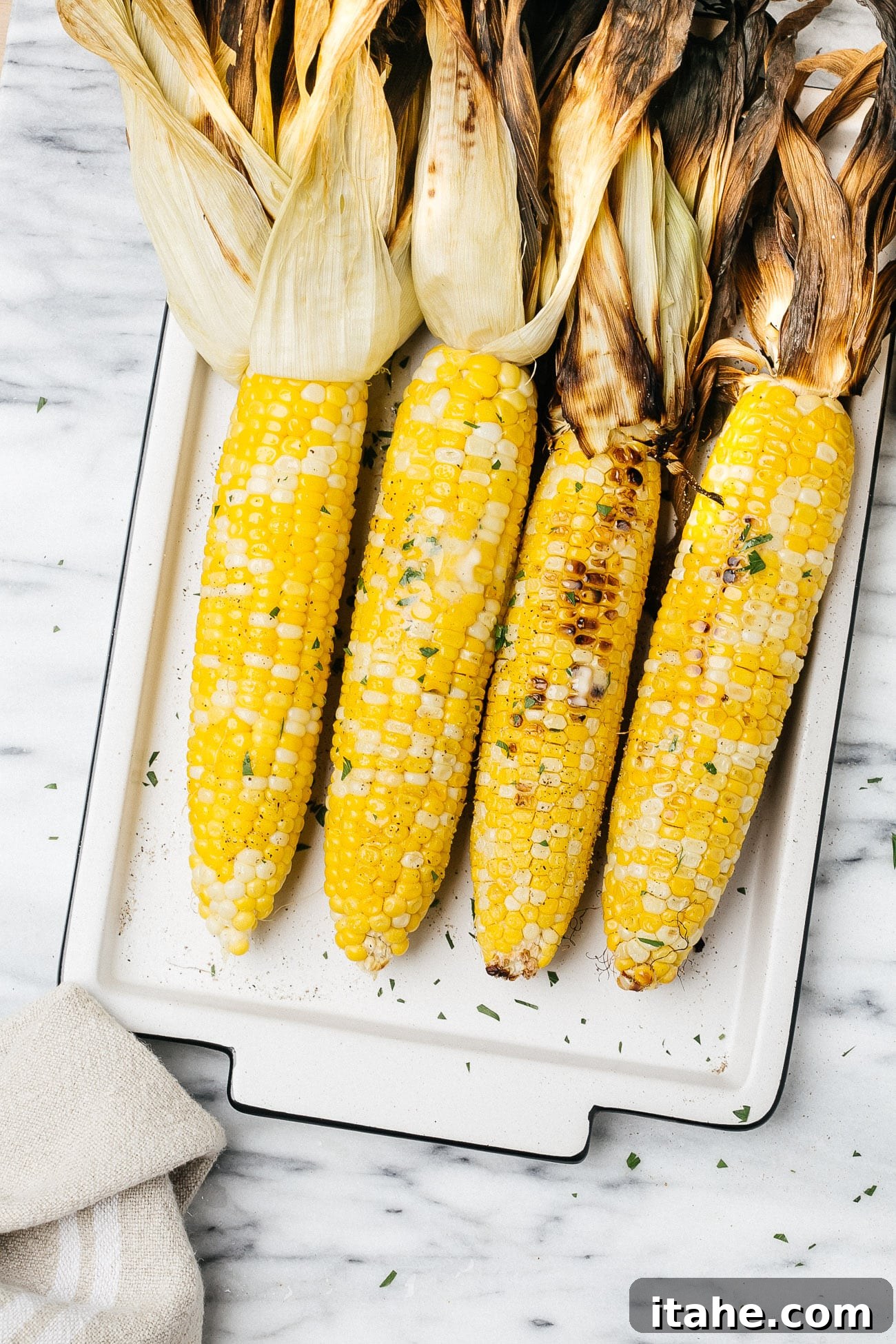 Grilled Corn Duo: From Simple to Sublime 6 grilled corn on a cob on a white plate