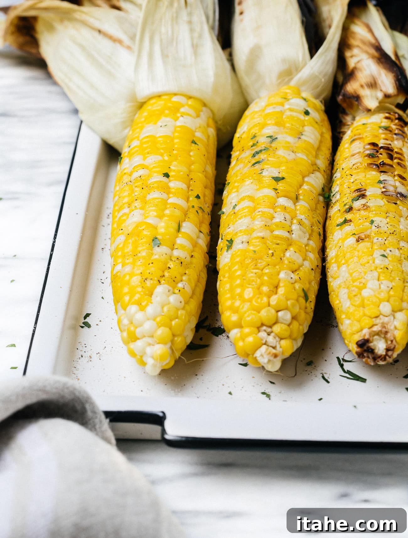 Grilled Corn Duo: From Simple to Sublime 7 Closeup grilled corn on a cob on a white plate