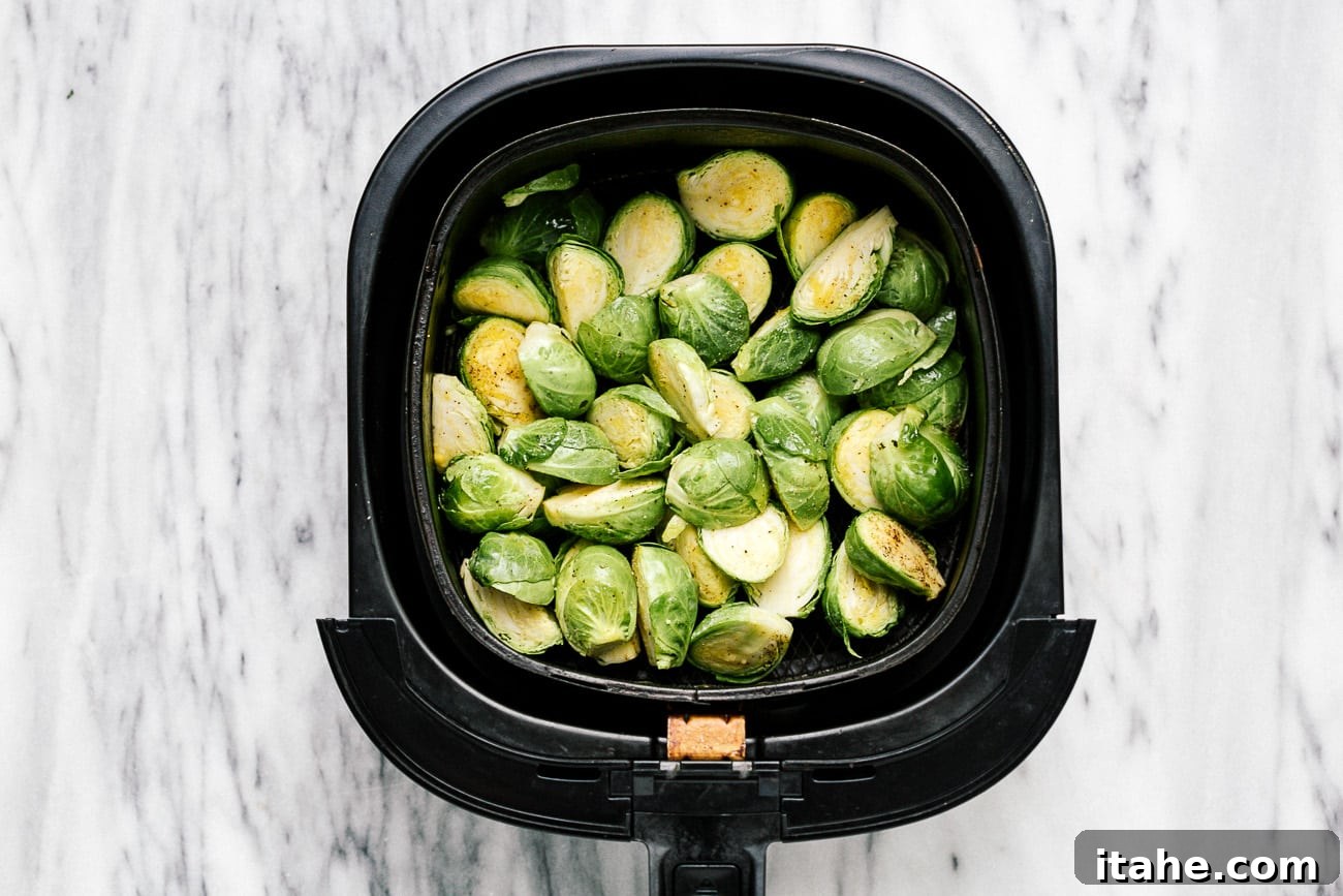 Seasoned Brussels sprouts being placed into the air fryer basket.