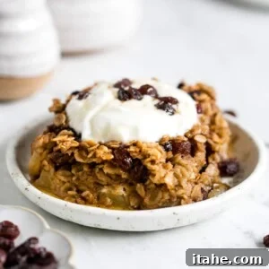 A piece of baked oatmeal with apples and raisins topped with yogurt.