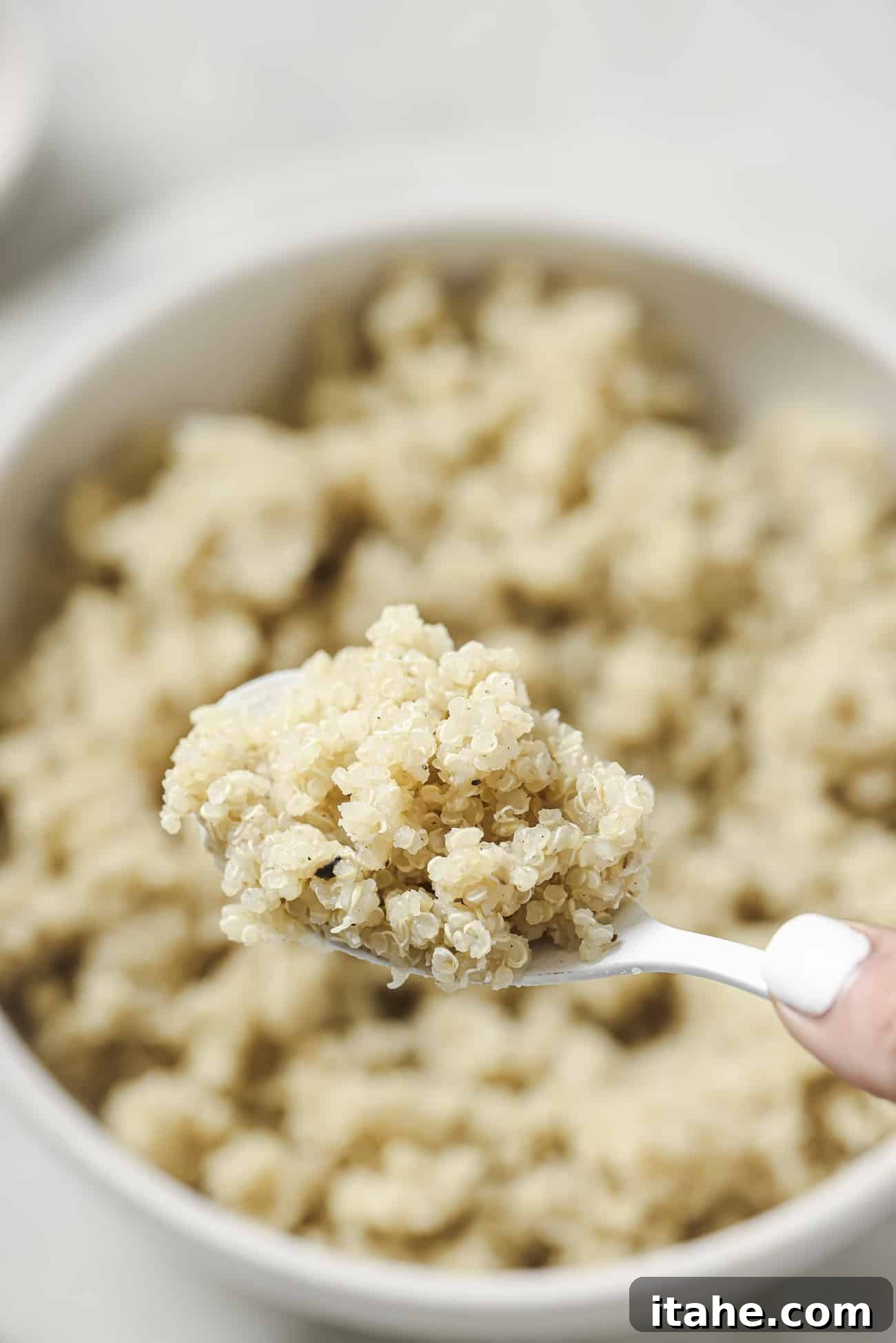 Close-up of cooked quinoa on a spoon.