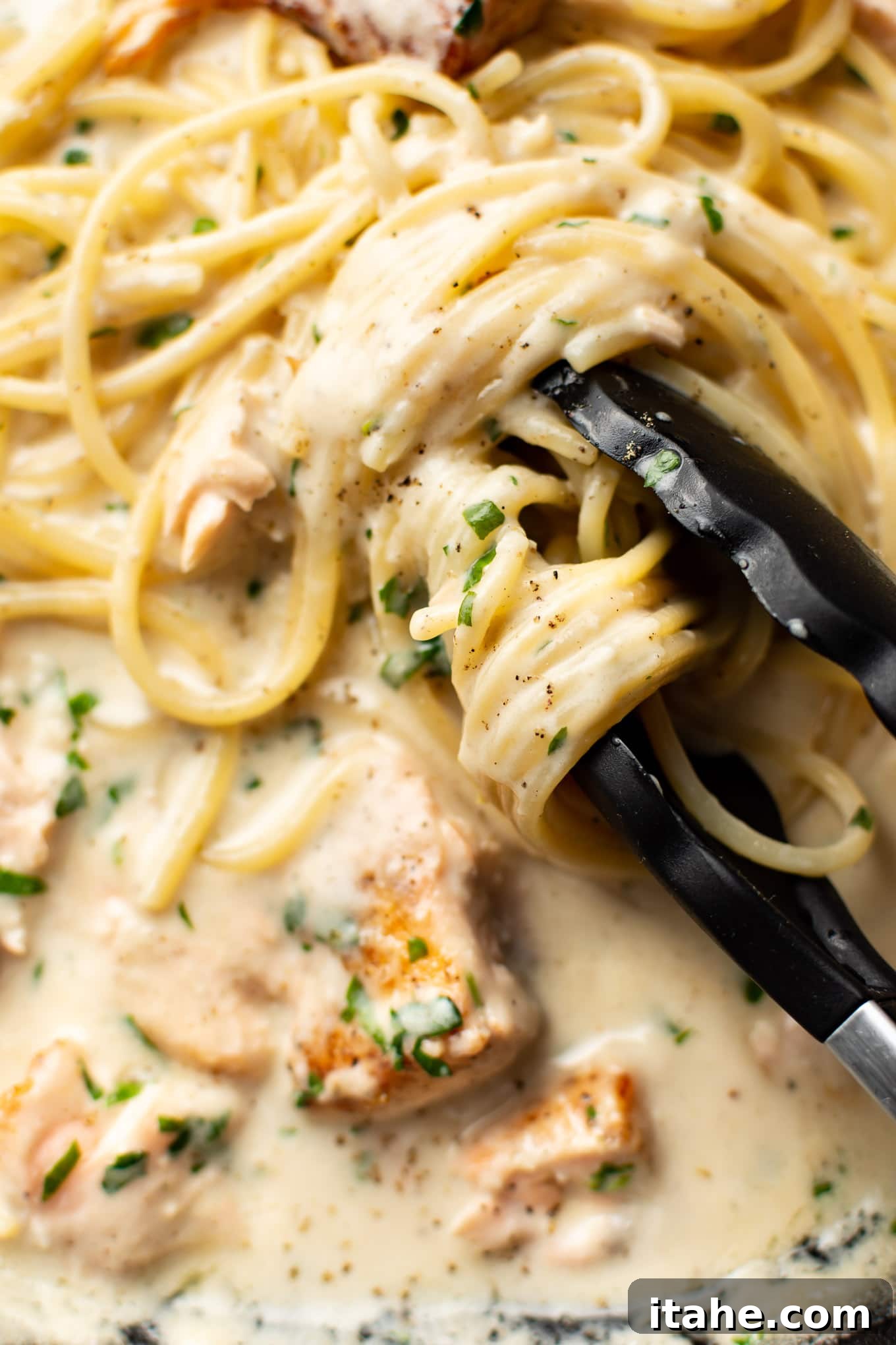 A close-up of a rich and creamy salmon pasta dish, garnished with fresh herbs.