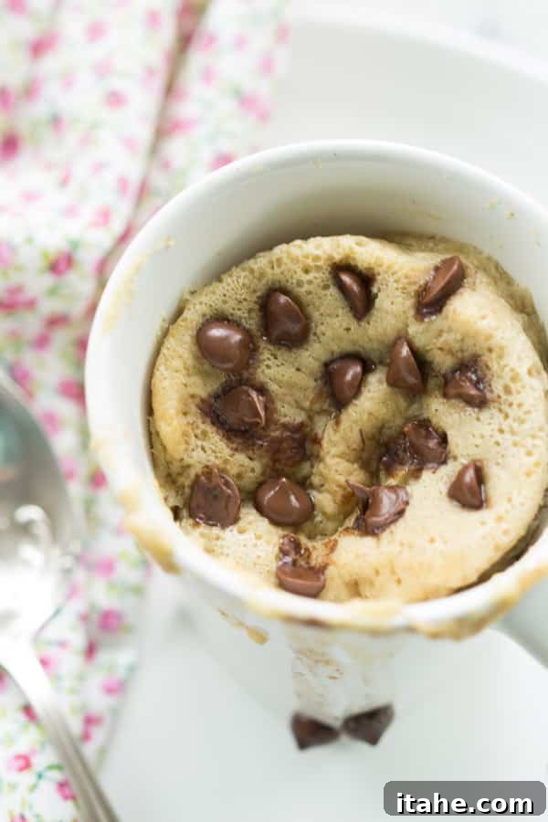 Close-up of a moist Gluten-Free Mug Cake On-the-Go with banana and chocolate chips