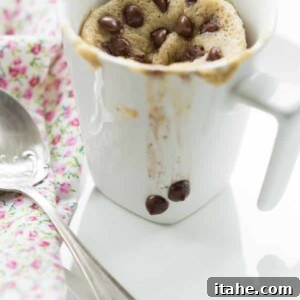 Gluten-Free Mug Cake On-the-Go ready to eat