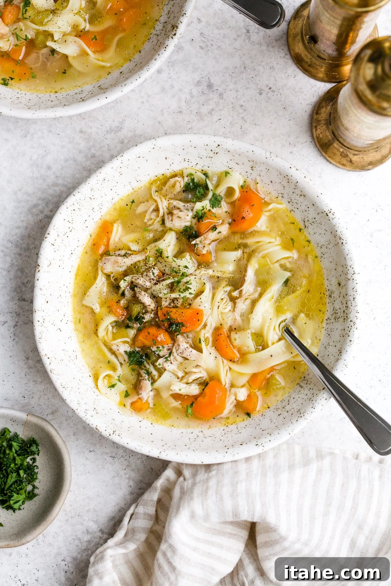 A bowl of hot, delicious Instant Pot chicken noodle soup garnished with fresh parsley.